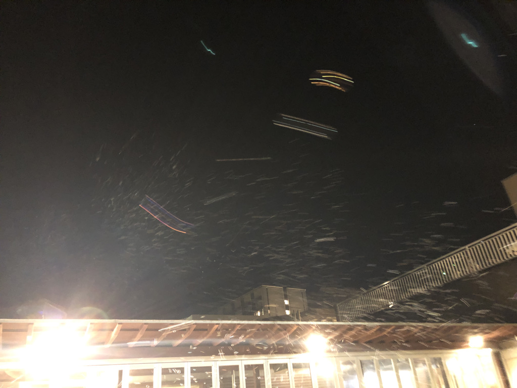 杉乃井ホテル　ブログ　宿泊記　朝食　夕食　バイキング　プール　温泉　アクアガーデン　コインランドリー　口コミ　大浴場　格安　激安　本館