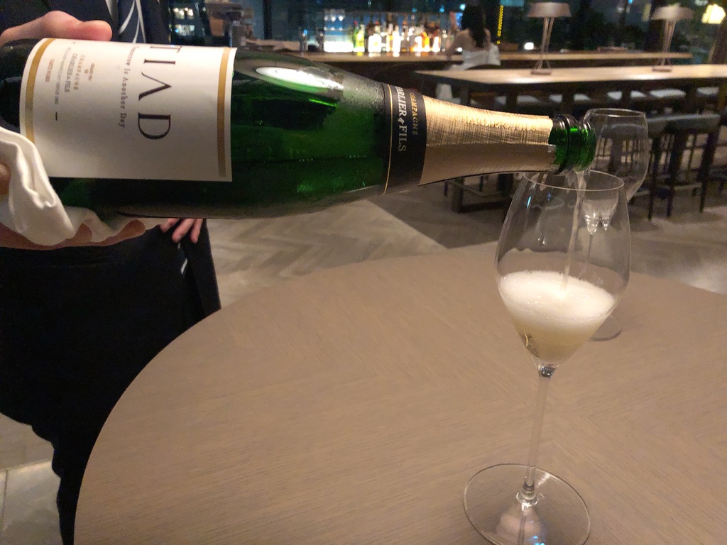 TIAD(ティアド)オートグラフコレクション宿泊記☆1ヶ月に3回泊まりたくなっちゃうほど居心地良く個性光るホテル 12 TIAD ティアド 宿泊記 プール ラウンジ 部屋 ブログ