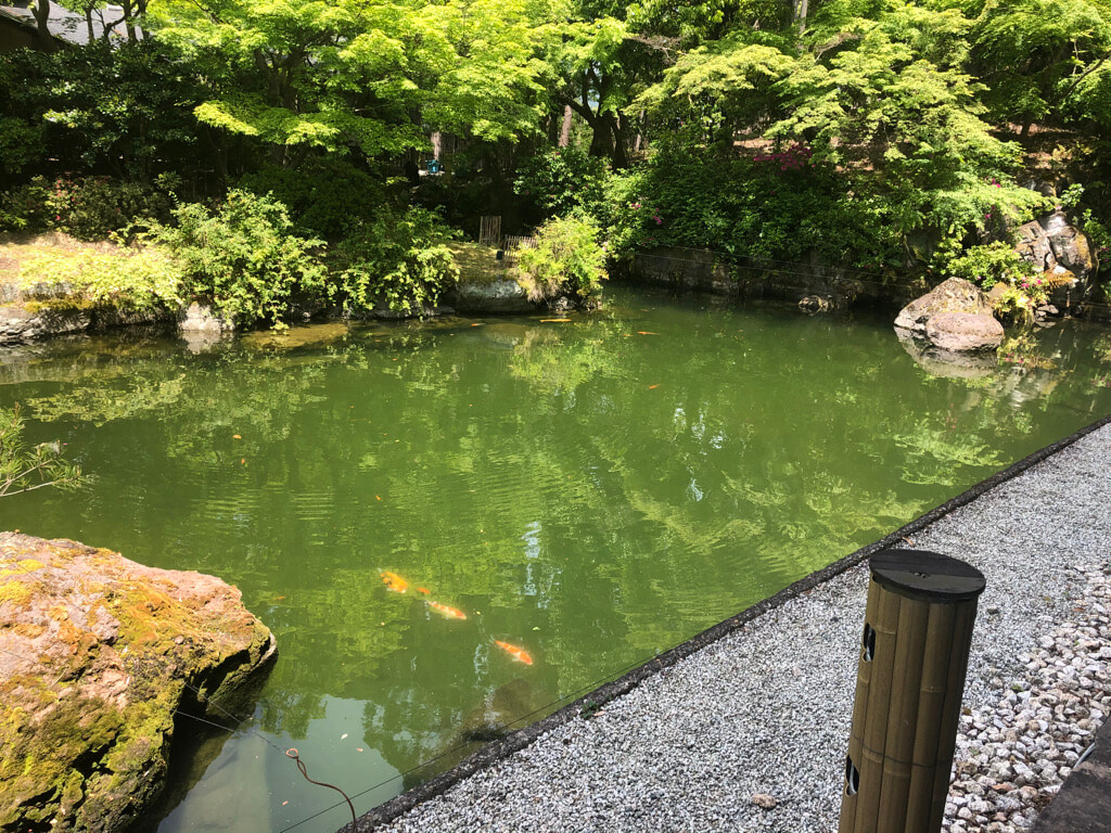 ザ・プリンス京都宝ヶ池　子連れ　宿泊記　プラチナ特典　アップグレード　朝食　ラウンジ　SPGアメックス紹介