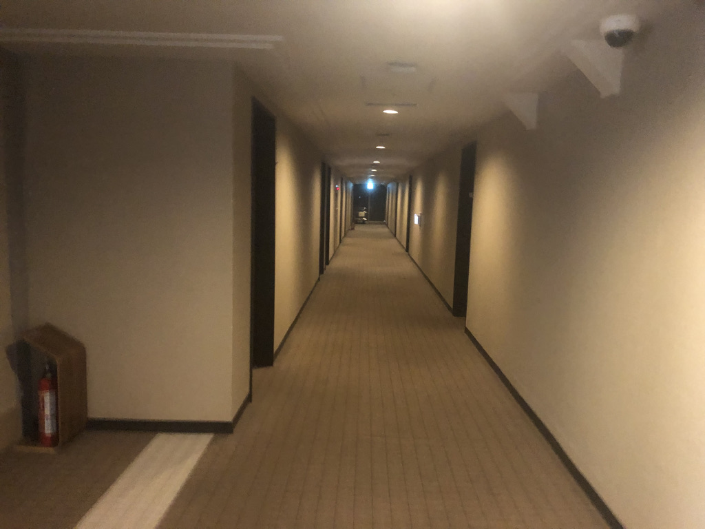 杉乃井ホテル　ブログ　宿泊記　朝食　夕食　バイキング　プール　温泉　アクアガーデン　コインランドリー　口コミ　大浴場　格安　激安　本館