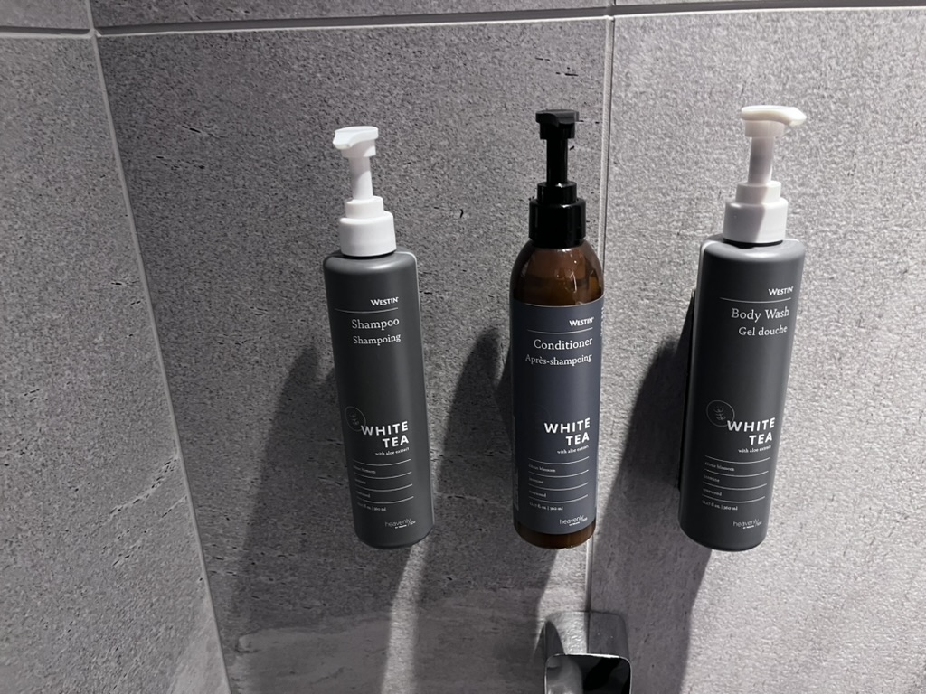 ウェスティン都ホテル京都スイート宿泊記★大人の高級アミューズメントホテルと言ったらココでしょ!な大好きなホテル 34 ウェスティン京都 プラチナ プール