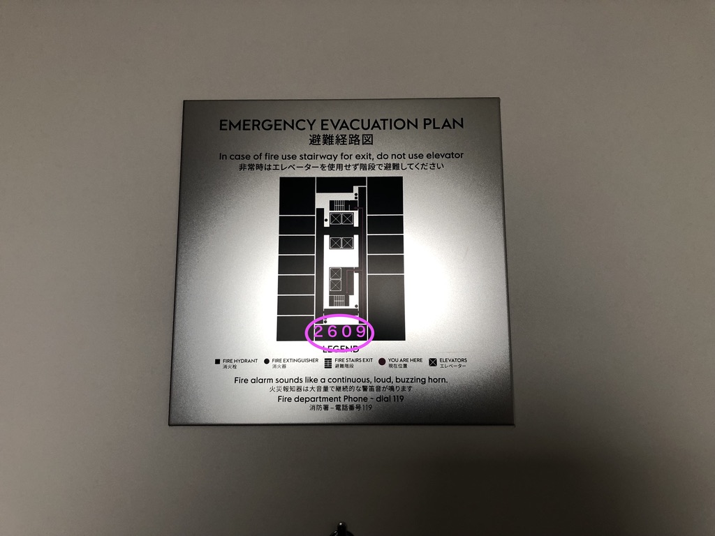 w大阪　ホテル　宿泊記　大浴場　駐車場　プール　読み方　プラチナ特典　マリオットボンヴォイアメックス紹介