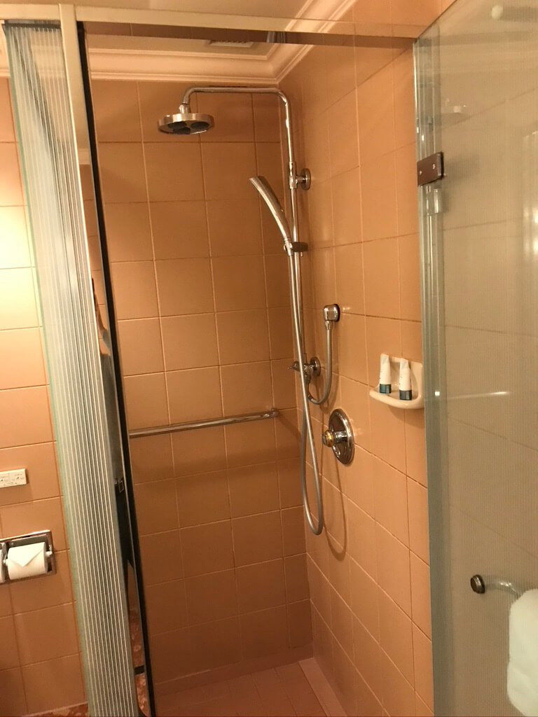 ウェスティンホテル東京　エグゼクティブルーム　宿泊記　アクセス 朝食　クラブラウンジ　フィットネスジム　コロナ　アメニティ　spgamex プラチナ特典　駐車場　子ども添い寝