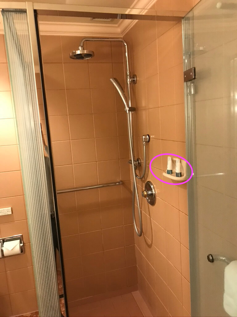 ウェスティンホテル東京　エグゼクティブルーム　宿泊記　アクセス 朝食　クラブラウンジ　フィットネスジム　コロナ　アメニティ　spgamex プラチナ特典　駐車場　子ども添い寝