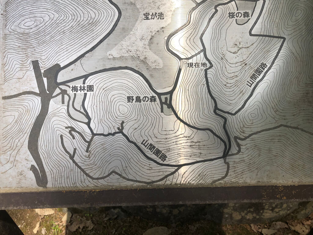 ザ・プリンス京都宝ヶ池　子連れ　宿泊記　プラチナ特典　アップグレード　朝食　ラウンジ　SPGアメックス紹介