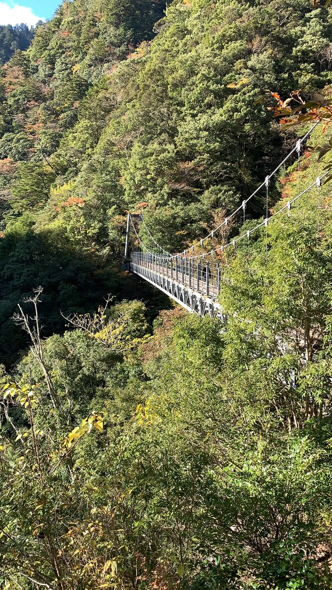 フェアフィールド三重おおだい　子連れ　宿泊記　大谷杉　登山　子供