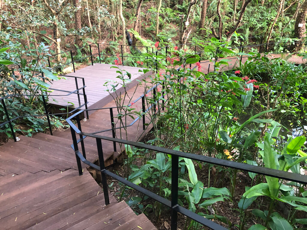 リッツカールトン沖縄 宿泊記 フィットネス　GoToトラベル　地域共通クーポン　プール　岩盤浴　スパ　spgアメックス　紹介　プラチナ特典　エクスペリエンス　アクティビティ