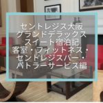 セントレジス大阪グランドデラックススイート宿泊記☆大人の隠れ家ホテルで受けれるバトラーサービスを知らなきゃ損ですよ〜!