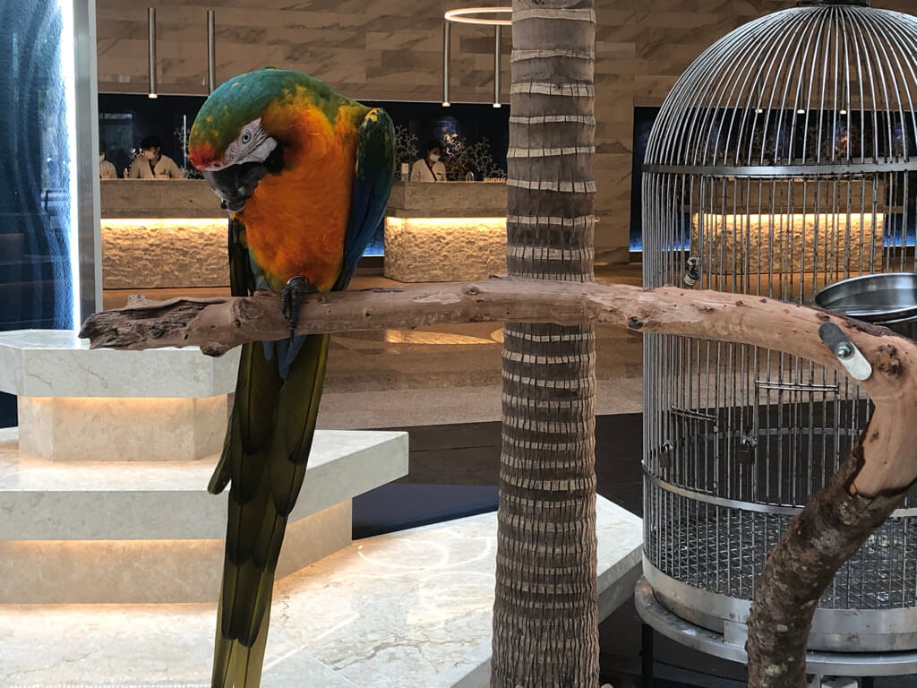 ルネッサンスリゾートオキナワ　子連れ　宿泊記　クラブサビー