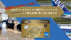 期間限定ANAアメックスゴールド紹介キャンペーンで115,000マイル！最もお得に申し込む方法とは