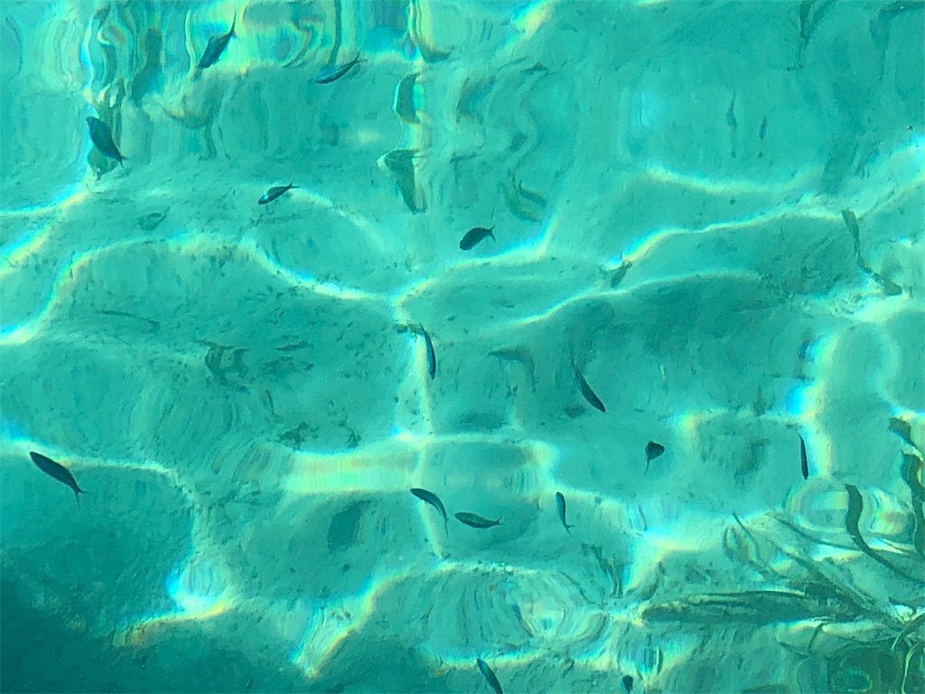 フィリピンの秘境コロン島へ行ってきました!Two Seasons Coron Island Resort&Spa(ツーシーズンズ コロンアイランド リゾート&スパ)のアクセス方法と部屋紹介① 22 Two Seasons Coron Island Resort&Spa(ツーシーズン コロンアイランド リゾート&スパ)