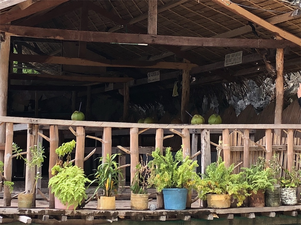 フィリピンの秘境コロン島のアイランドホッピング体験談