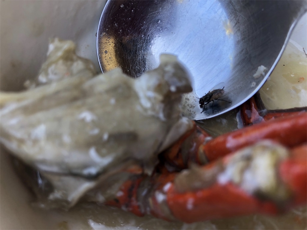 Two Seasons Coron Island Resort&Spa（ツーシーズンズ　コロンアイランド　リゾート＆スパ）での食事