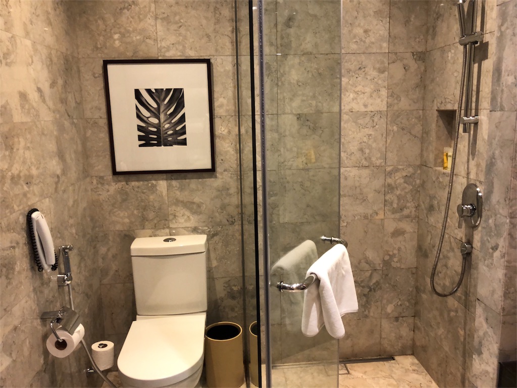 マニラの空港に近いラグジュアリーホテルはどこがいい?ここがナンバー1だった! 15 Hyatt City of Dreams Manila ハイアットシティオブマニラ