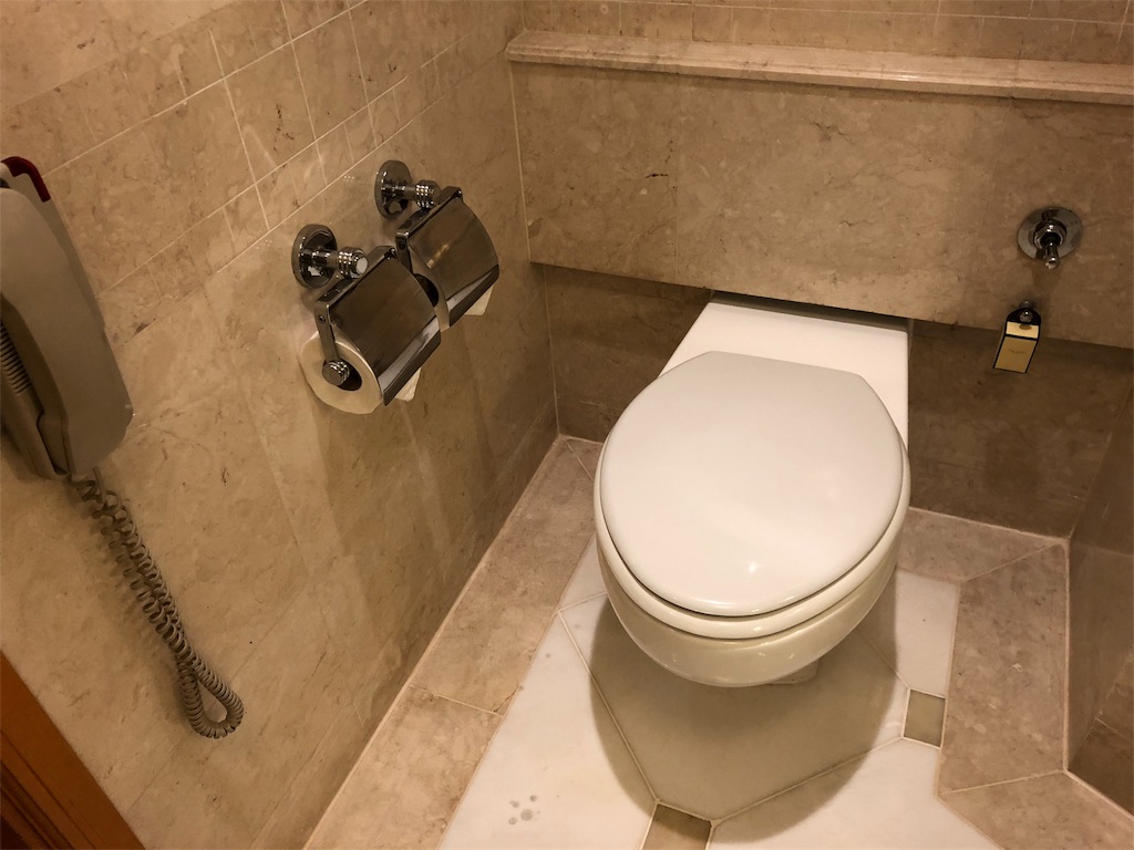 マニラの空港に近いラグジュアリーホテルはどこがいい?ここがナンバー1だった! 36 Makati Shangri-la Hotel Manila マカティシャングリラホテルマニラ