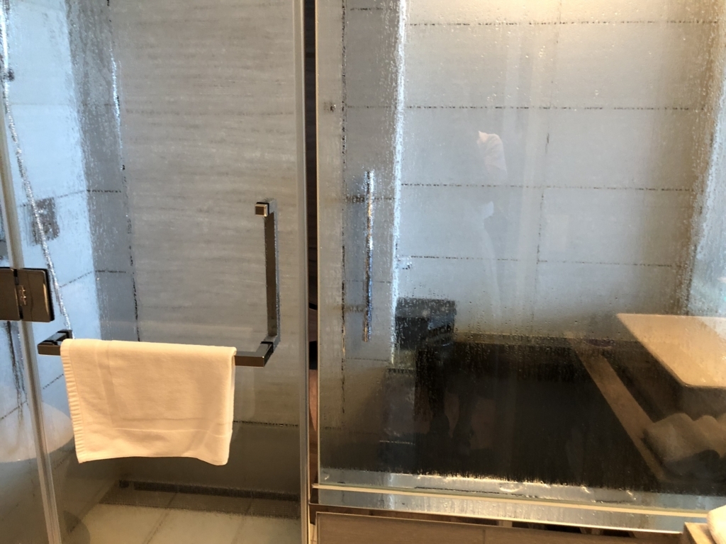 琵琶湖マリオットホテル　宿泊　SPGアメックス　特典