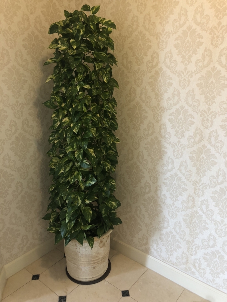 名古屋マリオットアソシアホテル　スイートルーム宿泊記　spg amex 特典