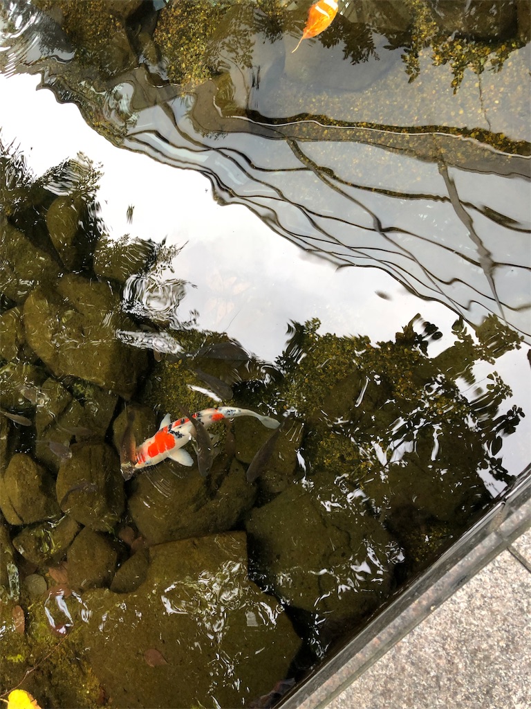 ウェスティンホテル大阪　エグゼクティブルーム宿泊　spg amex　特典