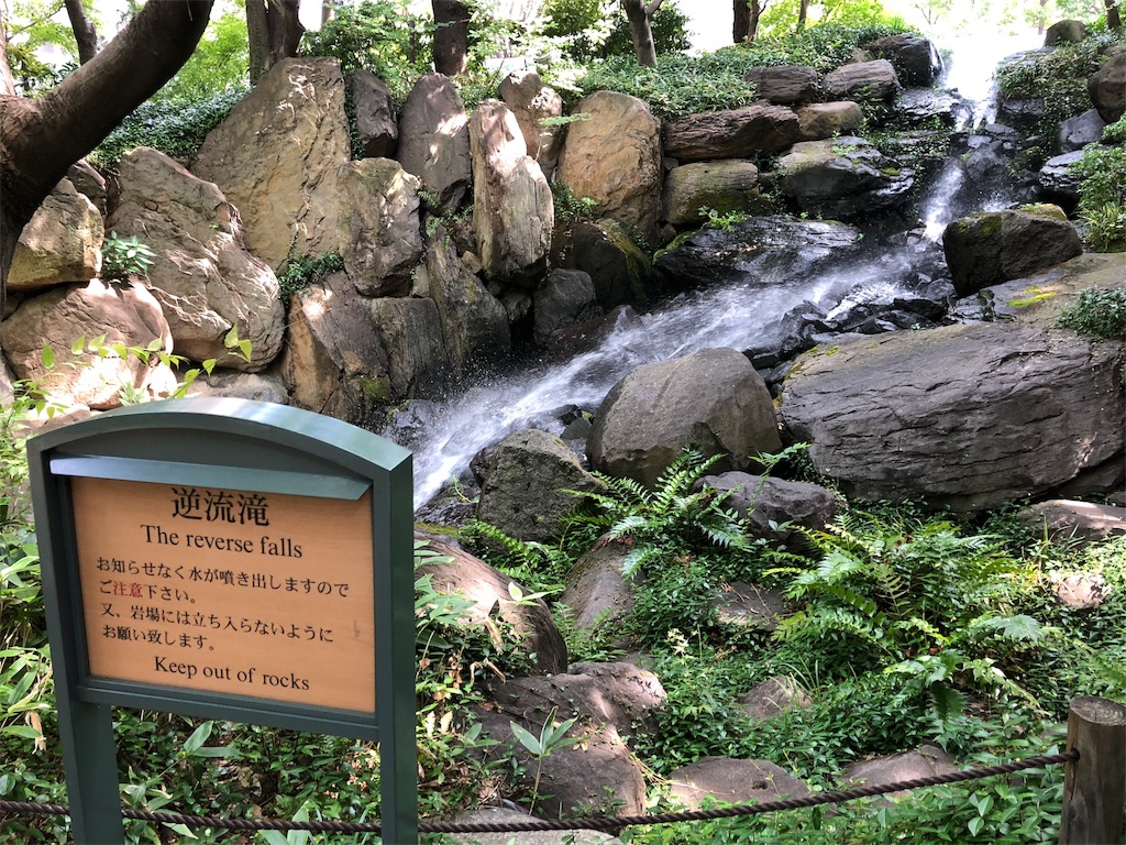 ウェスティンホテル大阪　エグゼクティブルーム宿泊　spg amex　特典