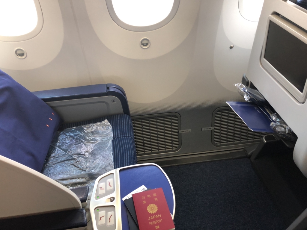 陸マイル　タダ　飛行機　旅行　デメリット　メリット　感想