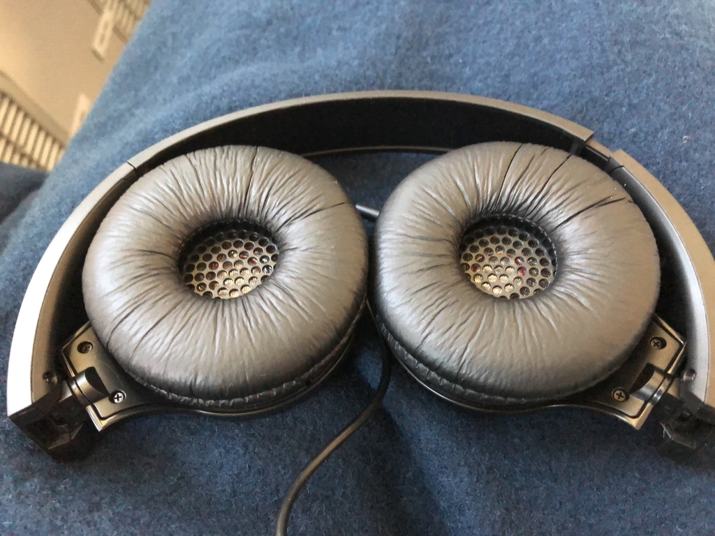 陸マイル　タダ　飛行機　旅行　デメリット　メリット　感想