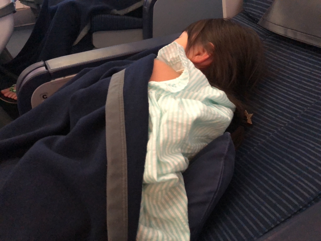 陸マイル　タダ　飛行機　旅行　デメリット　メリット　感想