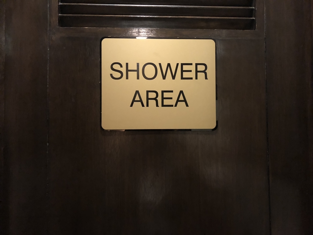 陸マイル　タダ　飛行機　旅行　デメリット　メリット　感想