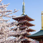 コスパで考えたらやっぱりこのホテルが最強だった！小学生以下の子連れ旅をお得に充実させたいならマリオットグループホテルで決まり！！