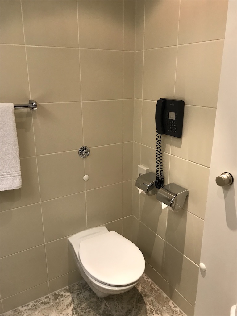 フランクフルト空港　近い　シェラトン・フランクフルトエアポート・ホテル＆コンファレンスセンター　宿泊記　口コミ　　レビュー　SPGアメックスの特典