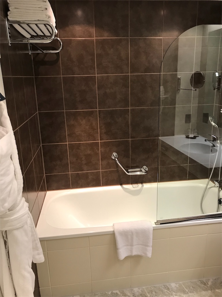 フランクフルト空港　近い　シェラトン・フランクフルトエアポート・ホテル＆コンファレンスセンター　宿泊記　口コミ　　レビュー　SPGアメックスの特典