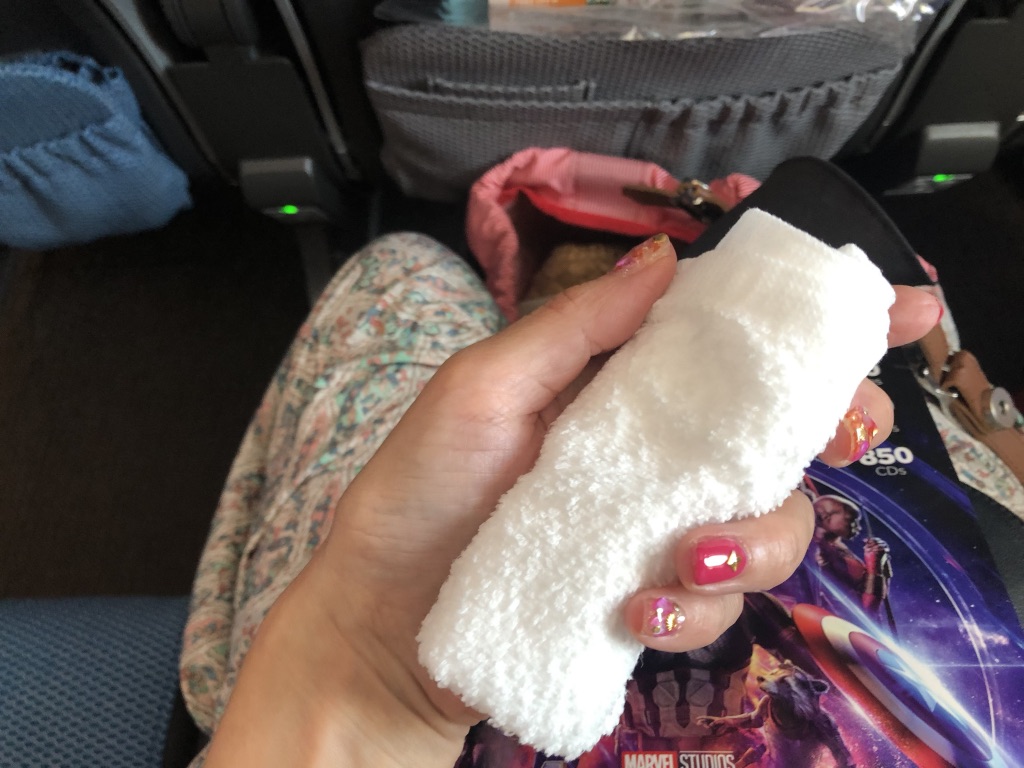 【シンガポール航空 SQ671ボーイング787】名古屋セントレア→シンガポール搭乗記☆エコノミークラスの機内食、映画、サービスは?お盆の家族旅行をタダにした裏技を公開! 6 シンガポール航空 SQ671 ボーイング787 名古屋 セントレア シンガポール エコノミークラス 映画 機内食