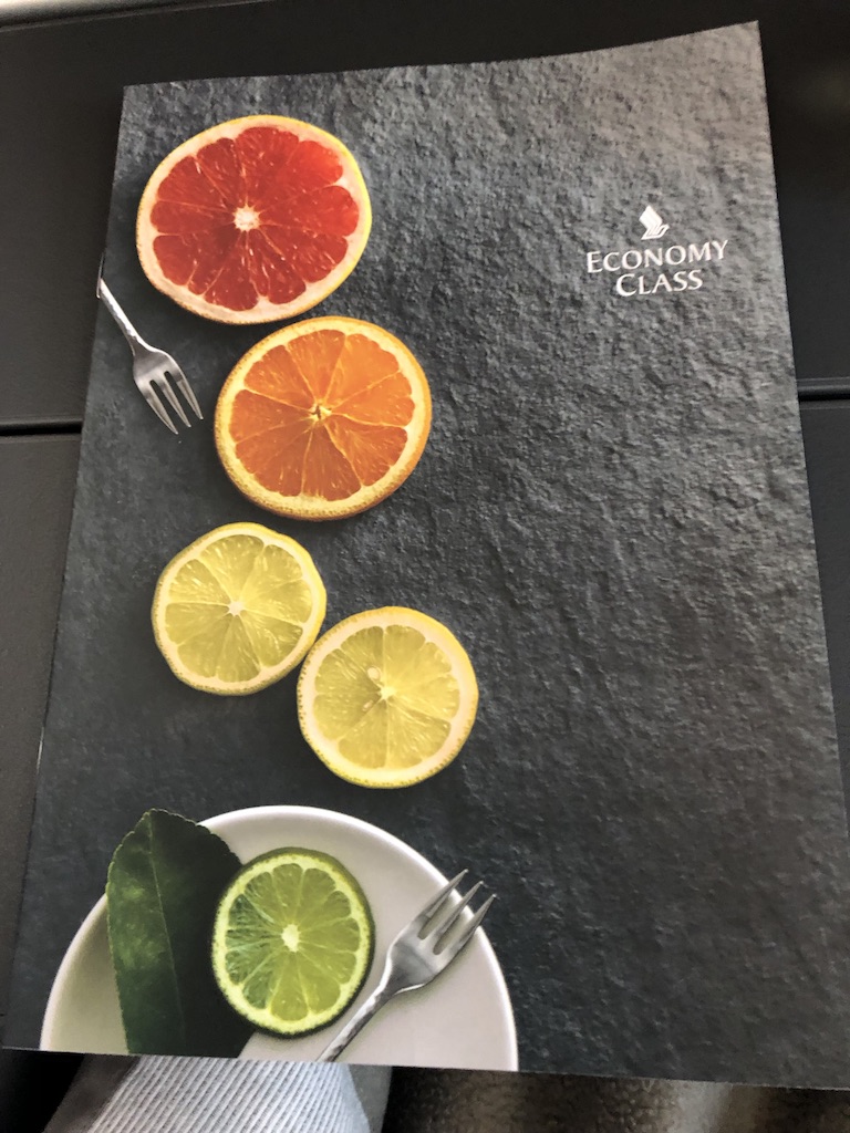 【シンガポール航空 SQ671ボーイング787】名古屋セントレア→シンガポール搭乗記☆エコノミークラスの機内食、映画、サービスは?お盆の家族旅行をタダにした裏技を公開! 8 シンガポール航空 SQ671 ボーイング787 名古屋 セントレア シンガポール エコノミークラス 映画 機内食