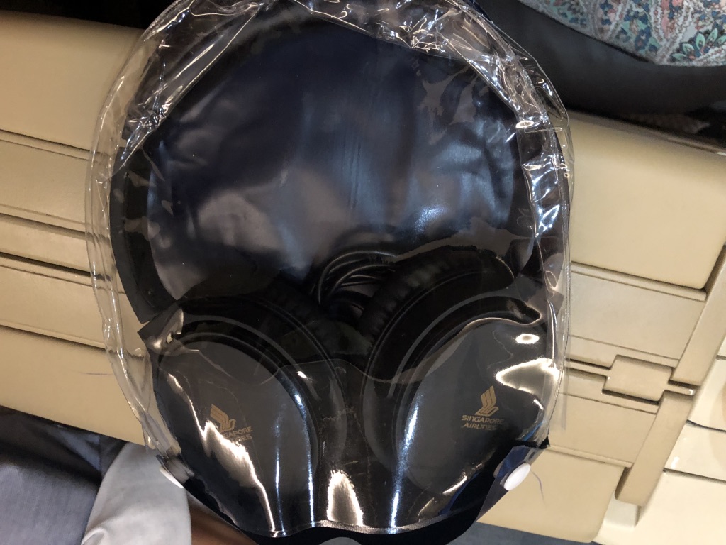 シンガポール航空 SQ452　エアバス　A330-300 シンガポール モルディブ マレ ビジネスクラス　機内食　映画　サービス　お盆　家族旅行　タダ