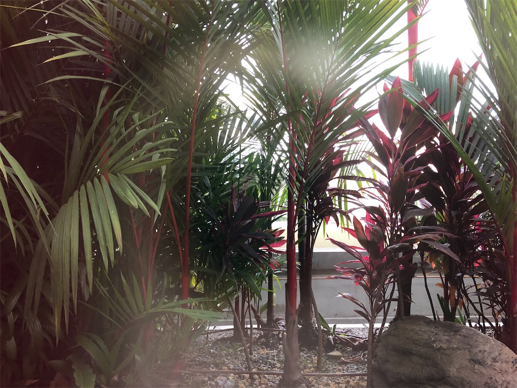 【シンガポールチャンギ空港】ターミナル2アンバサダートランジットホテルを利用した感想  7 ターミナル3アンバサダートランジットホテル Terminal3 Ambassador Transit Hotel レビュー 口コミ 価格 予約