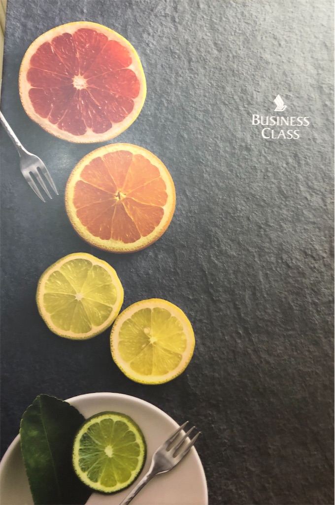 シンガポール航空 SQ452　エアバス　A330-300 シンガポール モルディブ マレ ビジネスクラス　機内食　映画　サービス　お盆　家族旅行　タダ