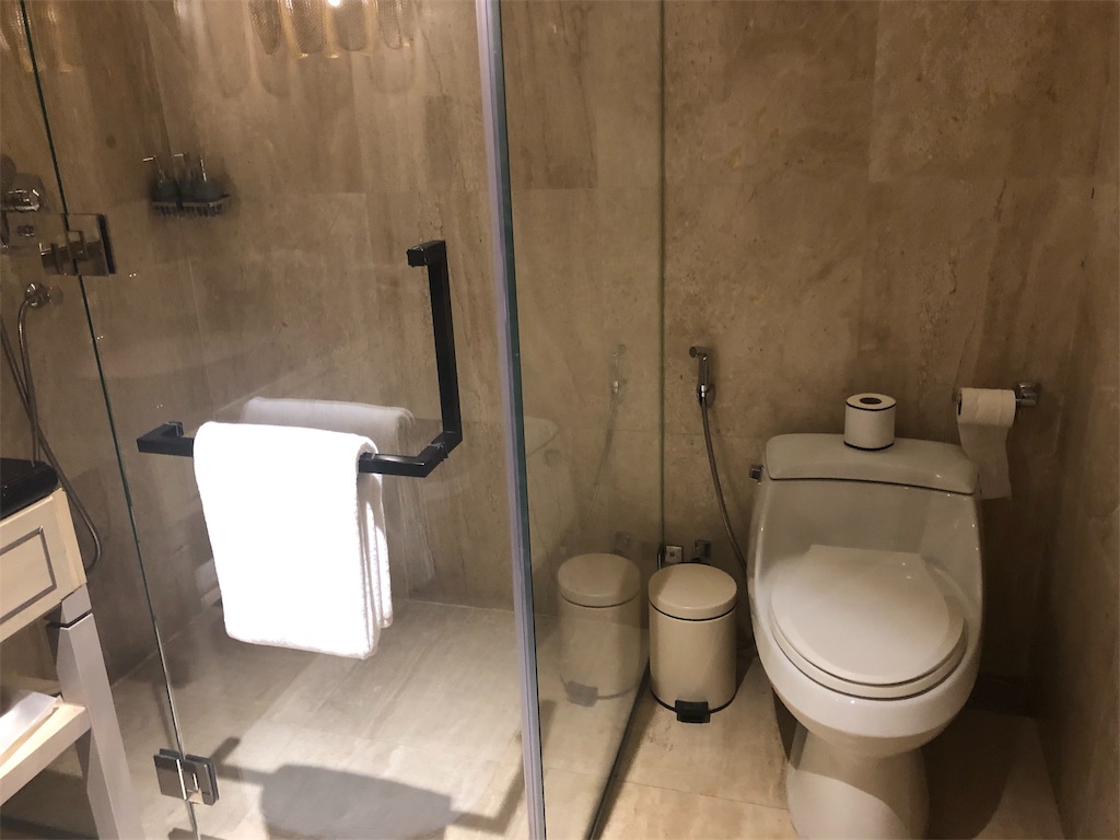 【セントレジス ・モルディブ・ヴォンムリ・リゾート宿泊記】ホテルまでの行き方☆水上飛行機の価格、出発時間、所要時間は? 22 セントレジス ・モルディブ・ヴォンムリ・リゾート 宿泊記 行き方 水上飛行機 価格 出発時間 所要時間 ラウンジ