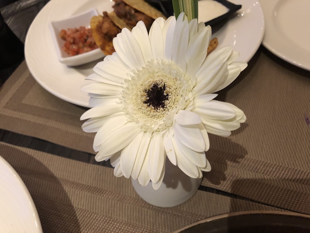 【セントレジス ・モルディブ・ヴォンムリ・リゾート】ディナーはどこのレストランがオススメ?禁断の〇〇〇を借りて大満足の夕食を食べれた! 16 セントレジス ・モルディブ・ヴォンムリ・リゾート ディナー 料金 レストラン オススメ メニュー