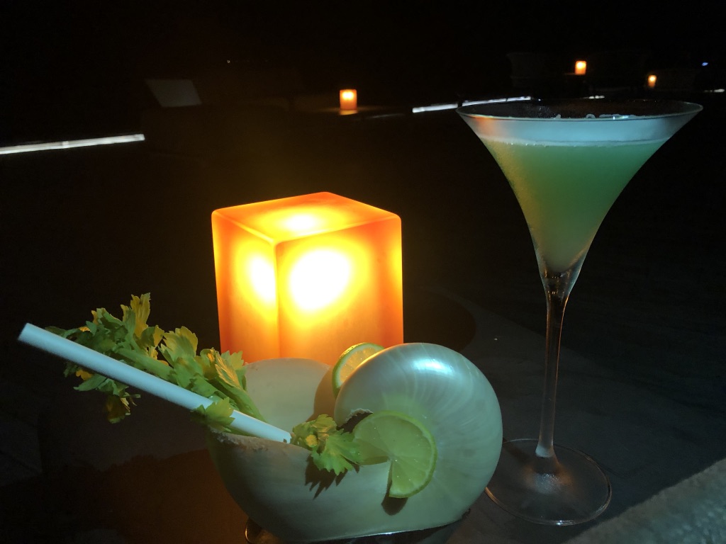 【セントレジス ・モルディブ・ヴォンムリ・リゾート】The Whale Barの感想☆ザ・ホエールバーにはハッピーアワーがある!20%OFFで飲める時間帯とは? 16 The Whale Bar ザ・ホエールバー 20%OFF 時間 menu メニュー