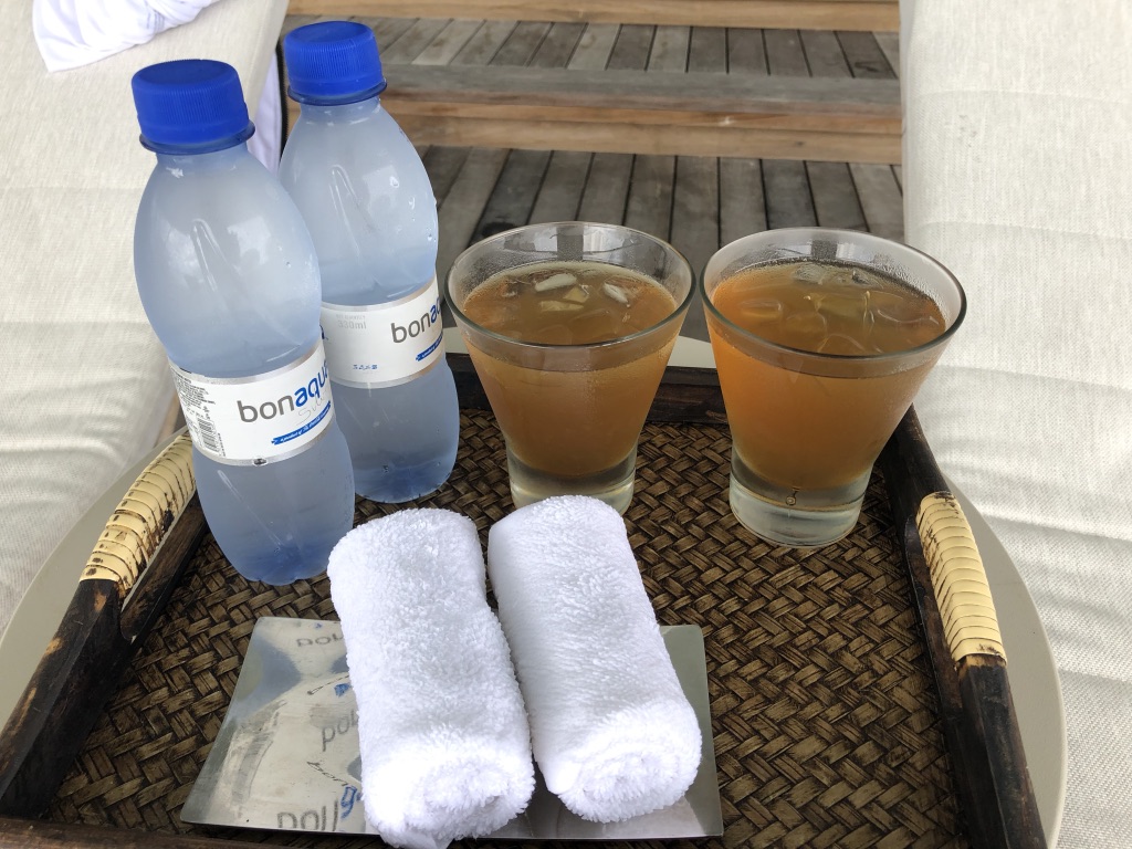 セントレジス ・モルディブ・ヴォンムリ・リゾート　ハイドロセラピープール　Hydrotherapy pool　イリディウムスパ　Iridium Spa　料金　感想　おすすめ　時間帯