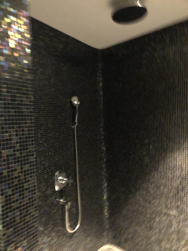 セントレジス ・モルディブ・ヴォンムリ・リゾート　ハイドロセラピープール　Hydrotherapy pool　イリディウムスパ　Iridium Spa　料金　感想　おすすめ　時間帯