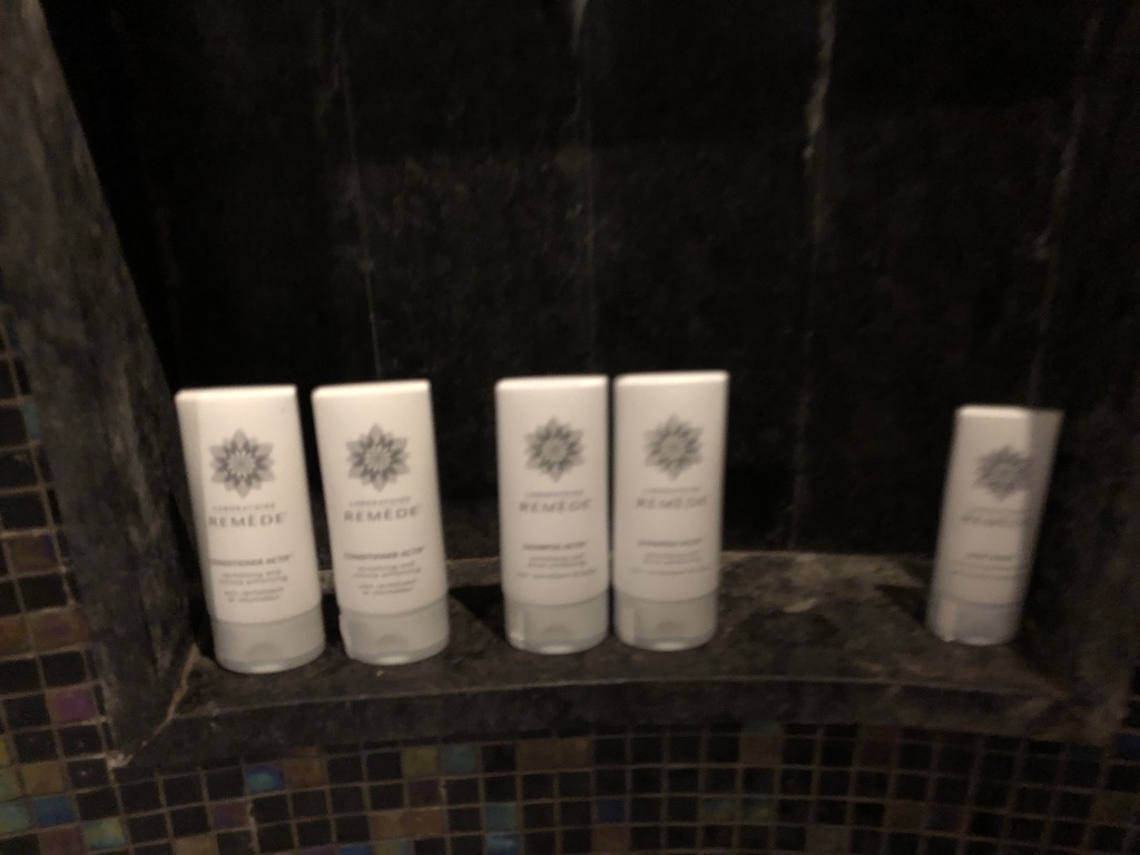 セントレジス ・モルディブ・ヴォンムリ・リゾート　ハイドロセラピープール　Hydrotherapy pool　イリディウムスパ　Iridium Spa　料金　感想　おすすめ　時間帯