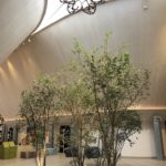 【セントレジス ・モルディブ・ヴォンムリ・リゾート】施設をご紹介。島のホテルって飽きない？いやいや、ホテル内は結構遊べる！