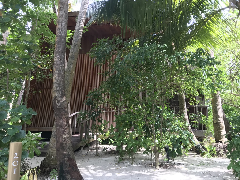 バトラーに聞いた!セントレジス・モルディブ・ヴォンムリ・リゾート 目的別、適した部屋とは? 54 セントレジス・モルディブ・ヴォンムリ・リゾート 部屋 子連れ どこがいい? シュノーケリング プライバシー