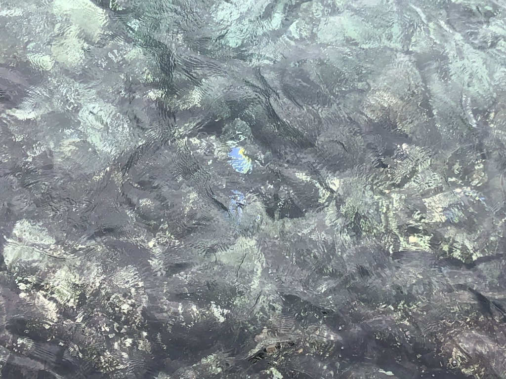 バトラーに聞いた!セントレジス・モルディブ・ヴォンムリ・リゾート 目的別、適した部屋とは? 68 セントレジス・モルディブ・ヴォンムリ・リゾート 部屋 子連れ どこがいい? シュノーケリング プライバシー