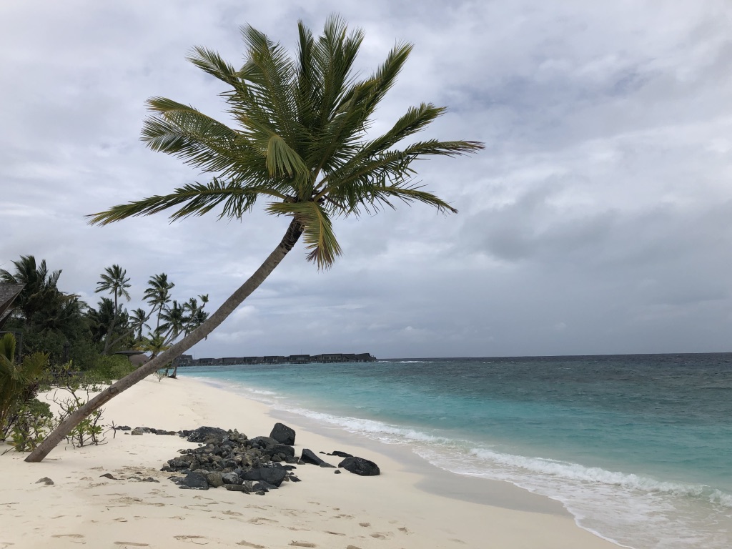 セントレジス・モルディブ・ヴォンムリ・リゾート帰りの水上飛行機の時間は?ラウンジは何時まで利用できる? 4 セントレジス・モルディブ・ヴォンムリ・リゾート チェックアウト 水上飛行機 時間 ラウンジ 利用 飲み物 食べ物 シャワー