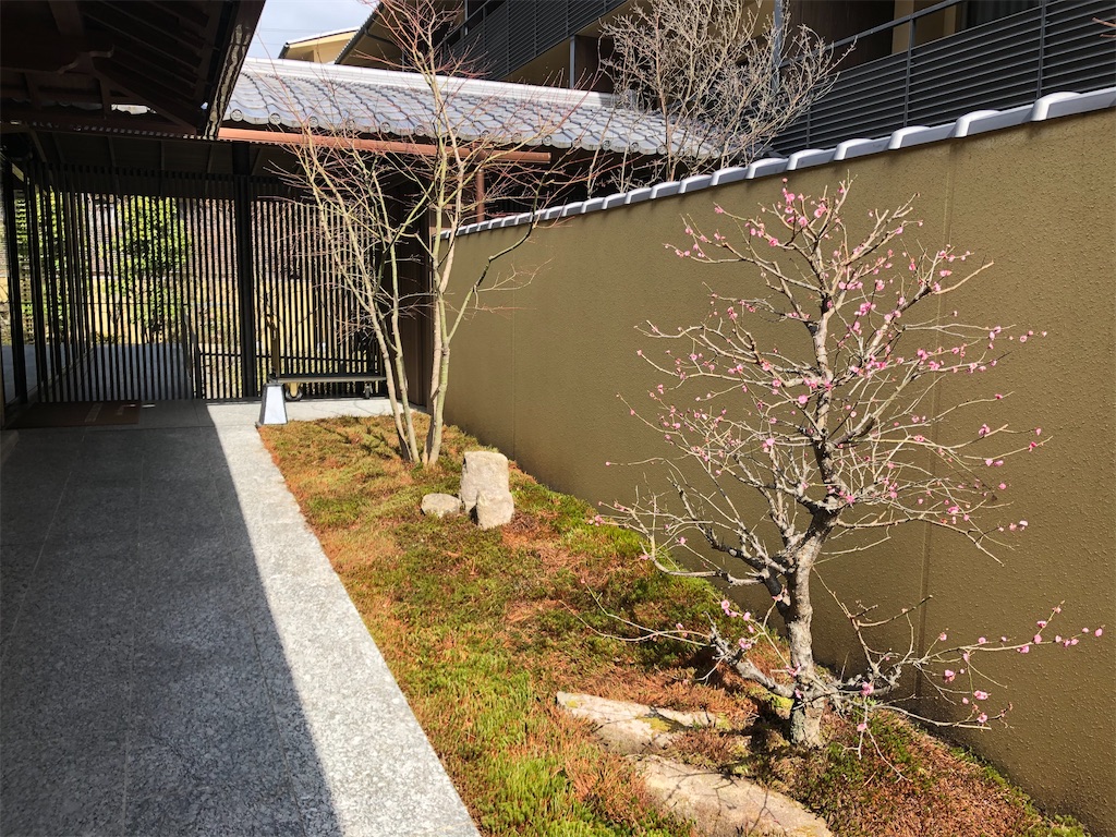 翠嵐ラグジュアリーホテル京都 玉兎 ぎょくと 温泉露天風呂付 ガーデンテラススイート 宿泊 SPGアメックス 特典