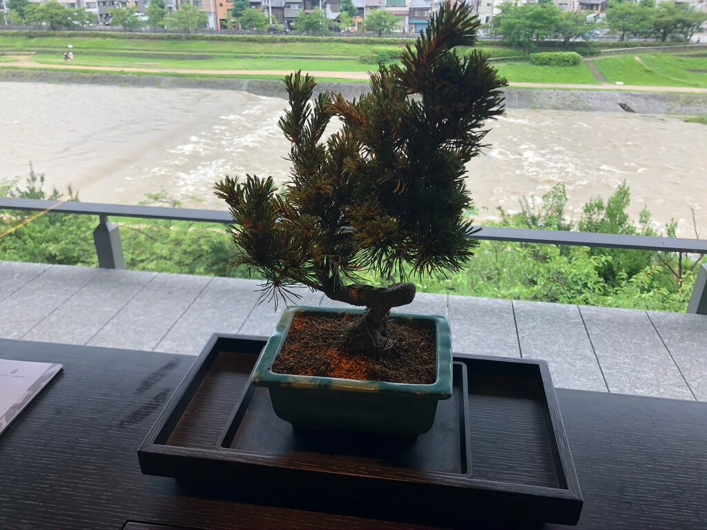 リッツカールトン京都　spgamex プラチナ会員　グランドデラックスカモガワリバービュー　朝食　コロナ　covid-19 ritzcarlton-kyoto