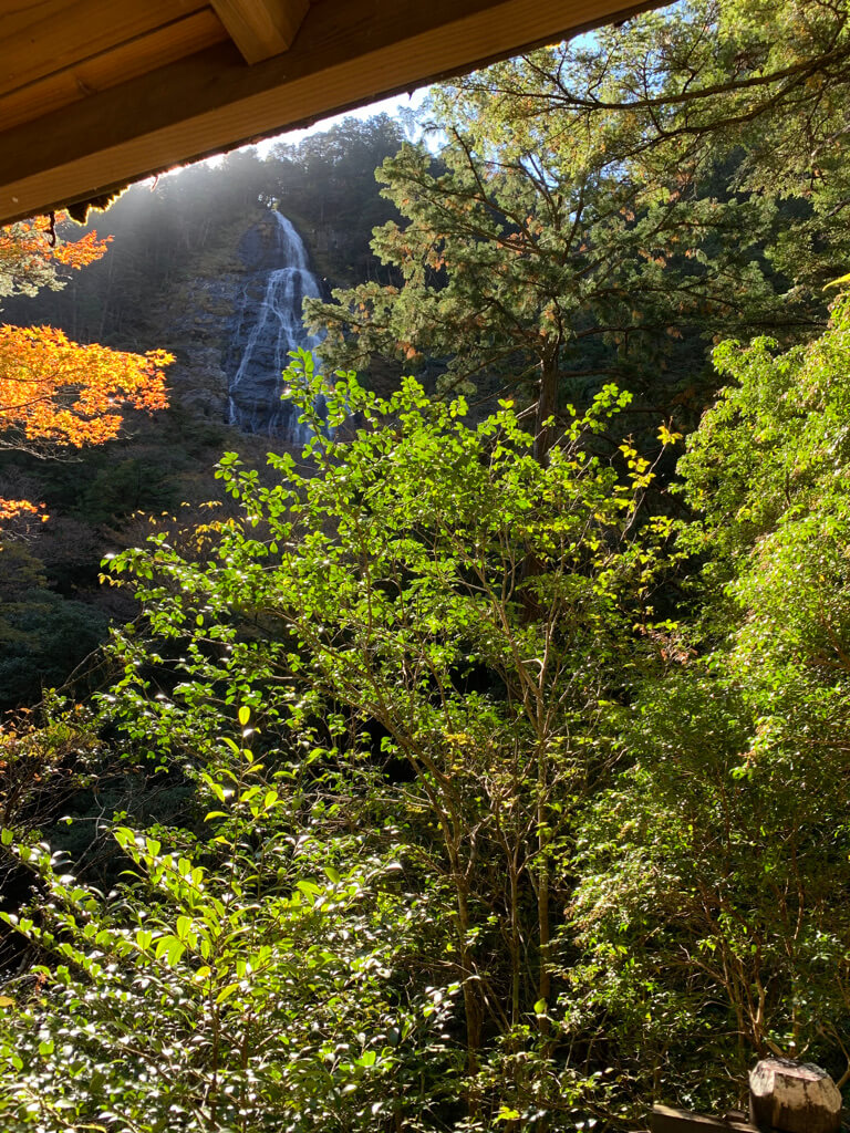 フェアフィールド三重おおだい　子連れ　宿泊記　大谷杉　登山　子供