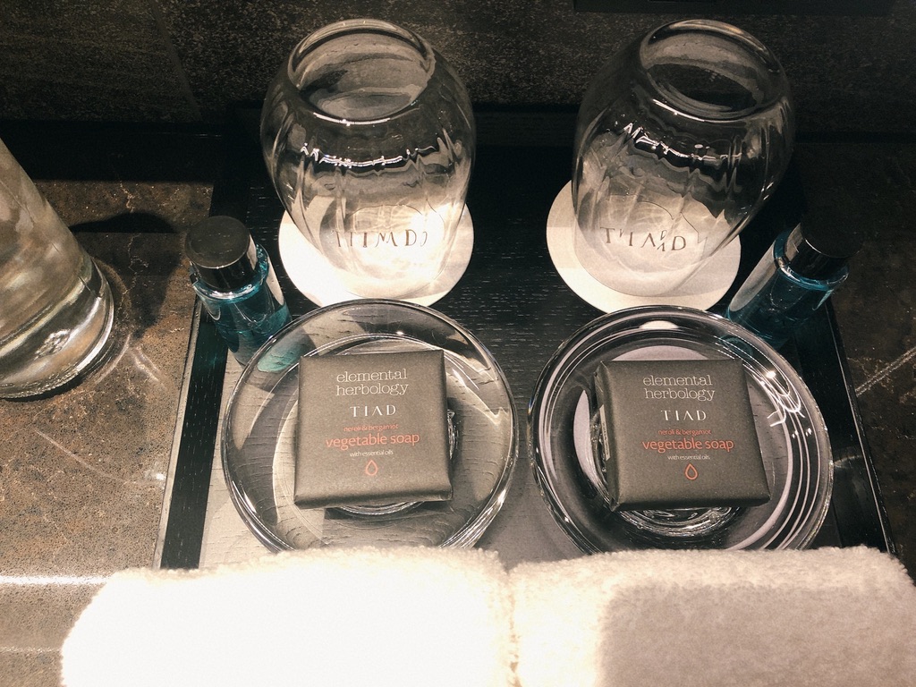 TIAD(ティアド)オートグラフコレクション宿泊記☆1ヶ月に3回泊まりたくなっちゃうほど居心地良く個性光るホテル 33 TIAD ティアド 宿泊記 プール ラウンジ 部屋 ブログ