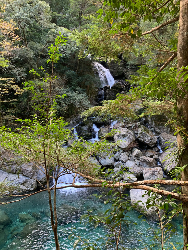 フェアフィールド三重おおだい　子連れ　宿泊記　大谷杉　登山　子供